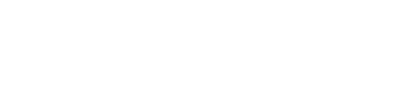 WIDES